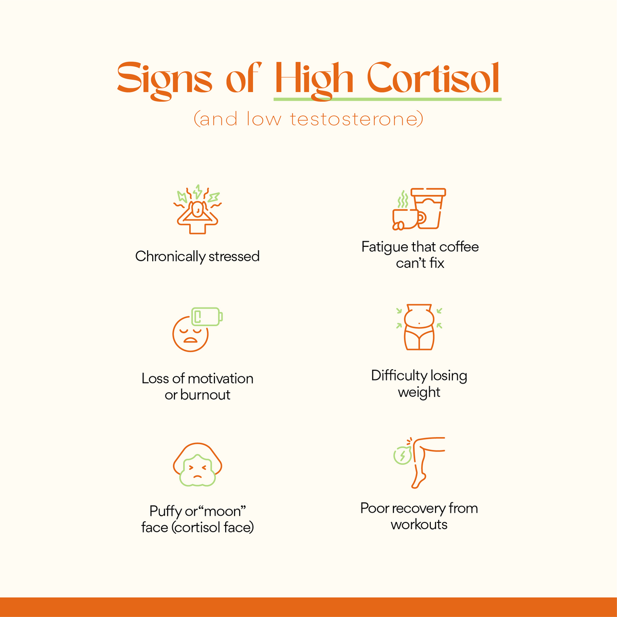 Cortisol, Who? The Stress Balancing Supplement