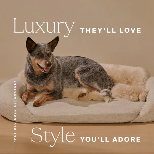 Natural Sheep Shearling Pet Bed Cover