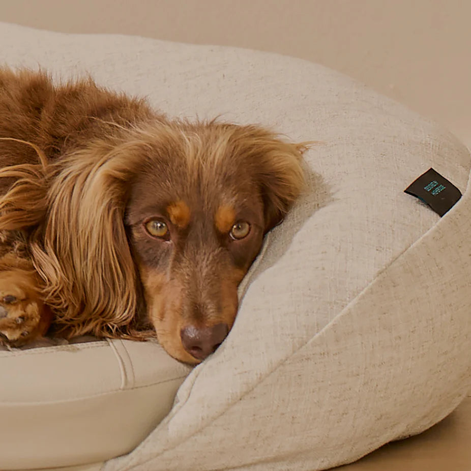 Infrared PEMF Pet Bed