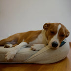 Infrared PEMF Pet Bed