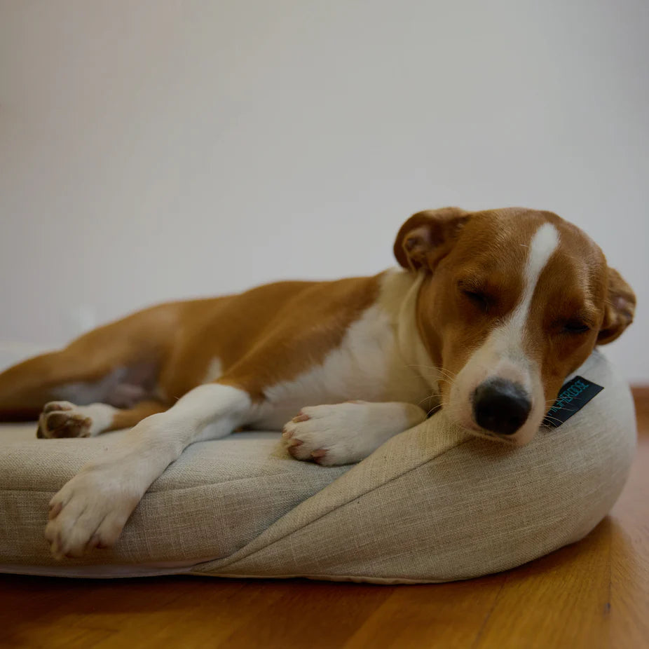 Infrared PEMF Pet Bed