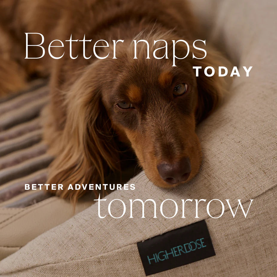 Infrared PEMF Pet Bed