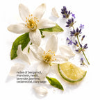 Neroli Noir Candle Refill Kit: Mandarin, Neroli Noir, Cedarwood