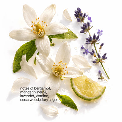 Neroli Noir Candle Refill Kit: Mandarin, Neroli Noir, Cedarwood