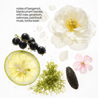 Scent No.1 Candle Refill Kit: Bergamot, White Rose, Oakmoss