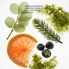 Scent No.4 Candle Refill Kit: Eucalyptus, Basalm Fir, Wild Berries