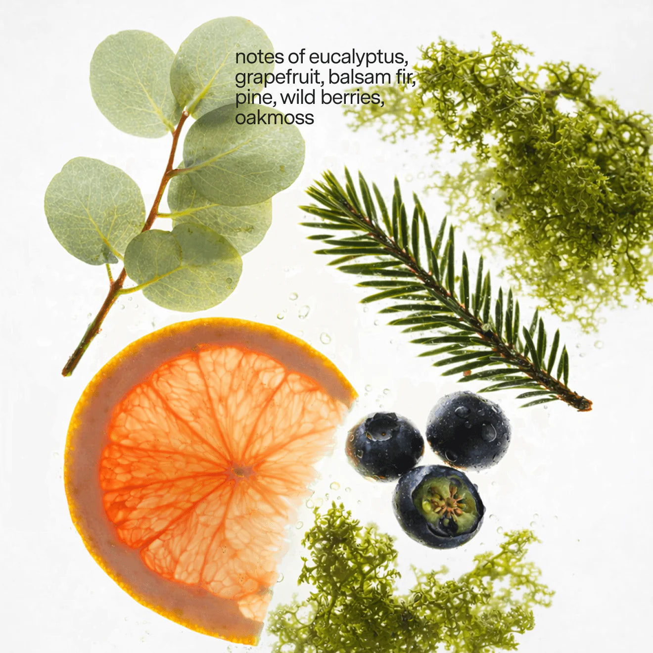 Scent No.4 Candle Refill Kit: Eucalyptus, Basalm Fir, Wild Berries