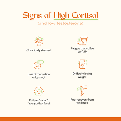 Cortisol, Who? The Stress Balancing Supplement