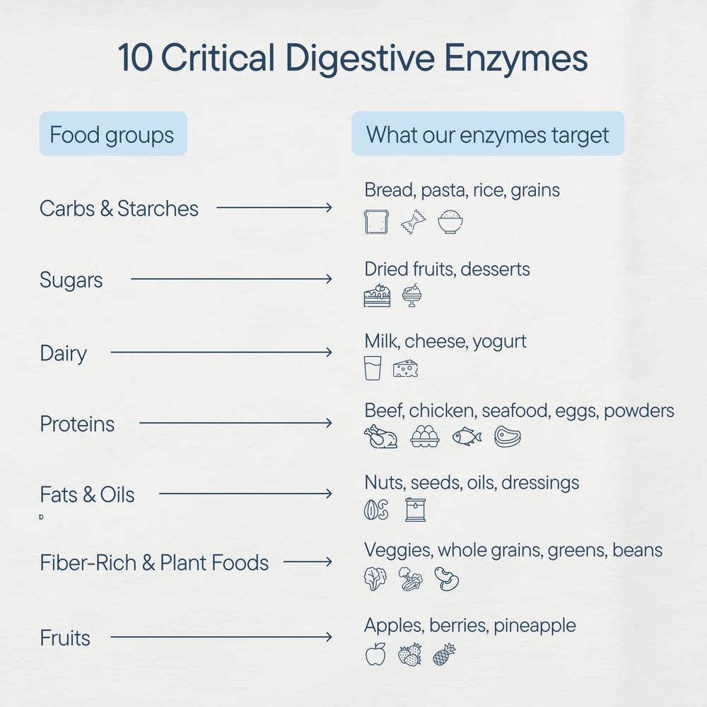 Digestive Enzyme Mints